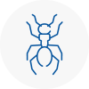 Ant Removals In Verwood
