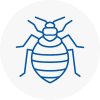 Bed Bug Extermination In Verwood