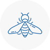 Bee Nest Removal Verwood