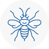Verwood Hornet Nest Removals