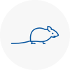 Mice Exterminators In Verwood