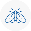 Moth Control Specialists In Verwood