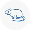 Rat Control Verwood