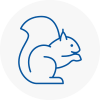 Verwood Rodent Removals